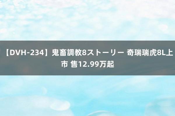 【DVH-234】鬼畜調教8ストーリー 奇瑞瑞虎8L上市 售12.99万起