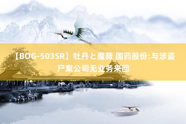 【BOG-503SR】牡丹と魔薇 国药股份:与涉盗尸案公司无业务来回