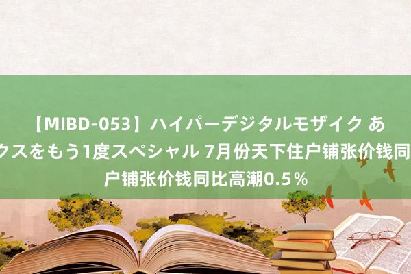 【MIBD-053】ハイパーデジタルモザイク あの娘のセックスをもう1度スペシャル 7月份天下住户铺张价钱同比高潮0.5％