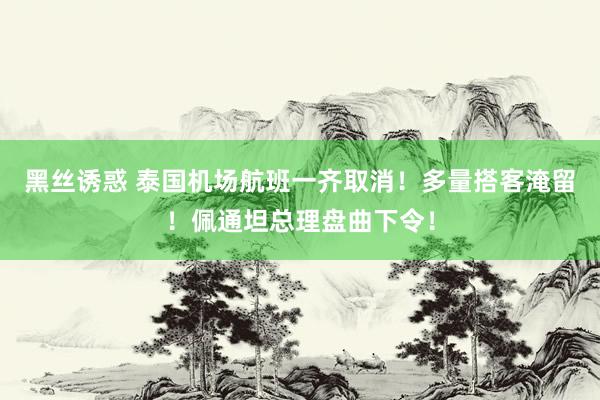 黑丝诱惑 泰国机场航班一齐取消！多量搭客淹留！佩通坦总理盘曲下令！