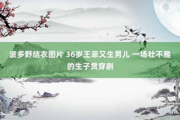 波多野结衣图片 36岁王菲又生男儿 一场壮不雅的生子贯穿剧