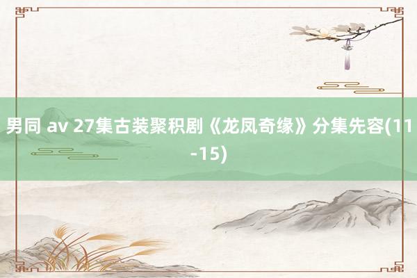 男同 av 27集古装聚积剧《龙凤奇缘》分集先容(11-15)